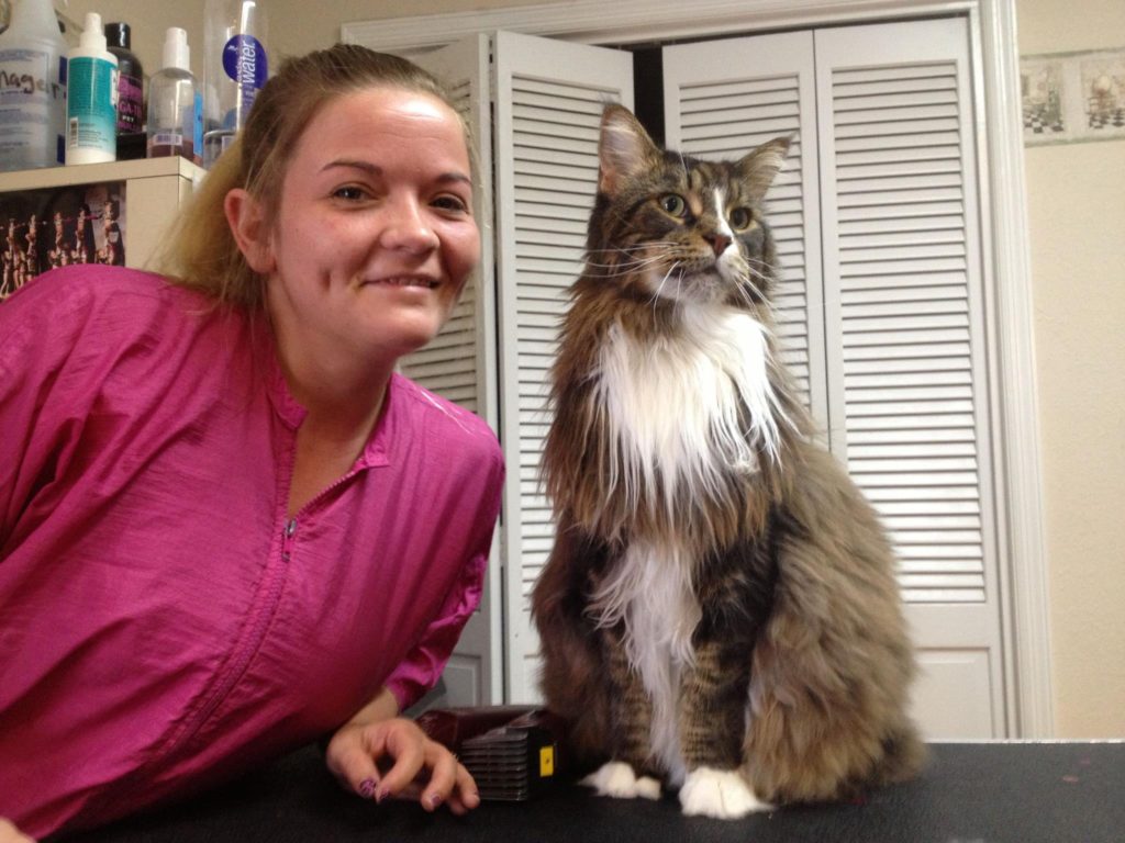Lisa is a true artist at her craft. With 18 years of pet-care experience, she has a gift for making all dogs and cats, feel safe, secure, and loved.